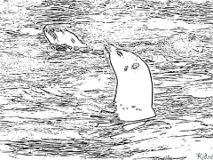 sami Lion Itulau Lanu Lolomi